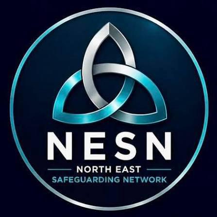 North East Safeguarding Network logo
